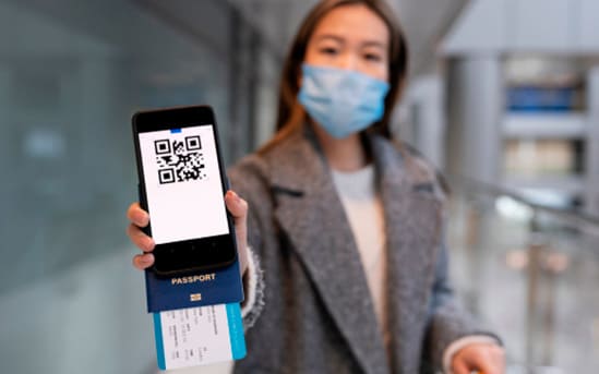 Pass through customs controls in Japan